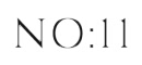 No 11